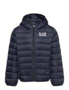 Down Jacket Navy EA7