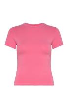 Flex Tee Pink Organic Basics