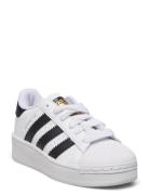 Superstar Xlg C White Adidas Originals