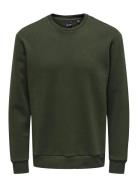 Onsceres Crew Neck Noos Green ONLY & SONS