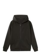 Nlnnizu Ls Bru Sweat Card W. Hood Noos Black LMTD