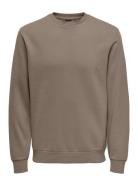 Onsceres Crew Neck Noos Brown ONLY & SONS