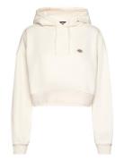 Oakport Cropped Hoodie Cream Dickies