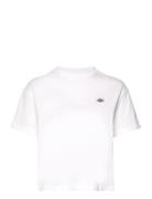 Oakport White Dickies