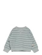 Sweat Shirt Line Blue Petit Piao