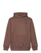 Stspacific Hoodie Brown Sometime Soon