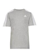 U 3S Tee White Adidas Sportswear