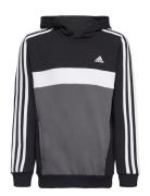 J 3S Tib Fl Hd Black Adidas Sportswear