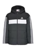 Padded Jacket Kids Black Adidas Sportswear