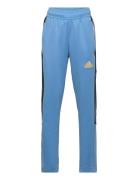 J Np Tiro Pant Blue Adidas Sportswear