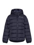 Hooded Jacket Navy Champion