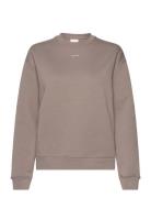 Nano Logo Crew Neck Sweatshirt Beige Calvin Klein