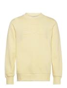 Reg Tonal Shield C-Neck Sweat Yellow GANT