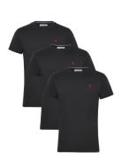 Uspa T-Shirt Arjun 3-Pack Black U.S. Polo Assn.