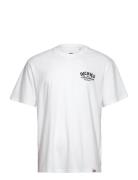 Dickies Companion Tee Ss White Dickies