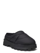 Frost Slip-On Black Steve Madden