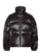 Retro Puffer Caviar Black LEVI´S Women