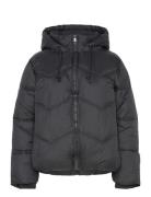 Fqshorty-Jacket Black FREE/QUENT