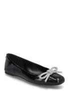 Nilsa Ballerinas Black Steve Madden