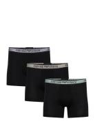 3-Pack Boxer Black Emporio Armani