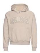 Hco. Guys Sweatshirts Beige Hollister