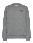 Track Top Grey Tommy Hilfiger