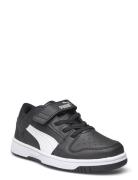 Puma Rebound Layup Lo Sl V Ps Black PUMA