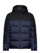 Hooded Jacket Navy Champion