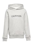 Institutional Logo Hoodie Grey Calvin Klein