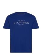 Big Hilfiger Tee Blue Tommy Hilfiger