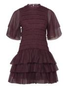 Minnie Short Sleeve Lace Mini Dress Burgundy Malina