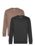 Sweatshirt Boys Brown Minymo