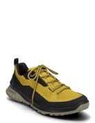 Ult-Trn M Yellow ECCO