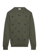 Hcpelle - Jumper Khaki Hust & Claire