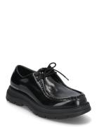 Reice Lace Up Black Steve Madden