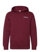 Standard Graphic Hoodie Rope B Burgundy LEVI´S Men