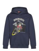 Lwscout 706 - Sweatshirt Navy LEGO Kidswear