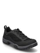 Xpedition Iii M Black ECCO