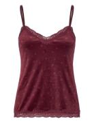 Velours Lace Cami Top Burgundy Hunkemöller