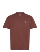 M Ss Mapleton Tee Brown Dickies