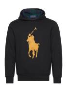 The Rl Fleece Big Pony Hoodie Black Polo Ralph Lauren