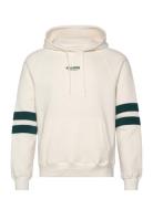 Hco. Guys Sweatshirts Cream Hollister