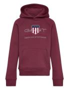 Archive Shield Hoodie Burgundy GANT