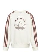 Crew Beige Adidas Originals