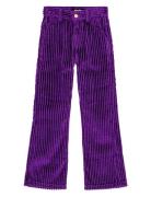 Aida Purple Molo