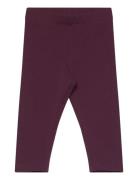 Leggings Brushed Inside Basic Purple Lindex