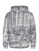 Oak Hoodie Grey Moose Knuckles