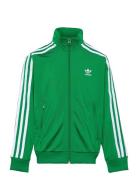 Firebird Top Green Adidas Originals