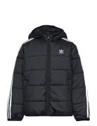 Padded Jacket Black Adidas Originals