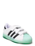 Superstar Led Lights Cf C White Adidas Originals